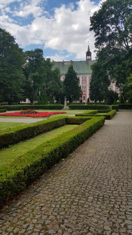 Chopin Park Lux Apartment, Self Check-In 24H, Free Parking, Air-Conditioning Poznań Eksteriør billede